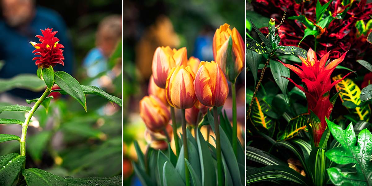 Andrew Smith, the Sony A7C II, and the Art of Quiet Observation
